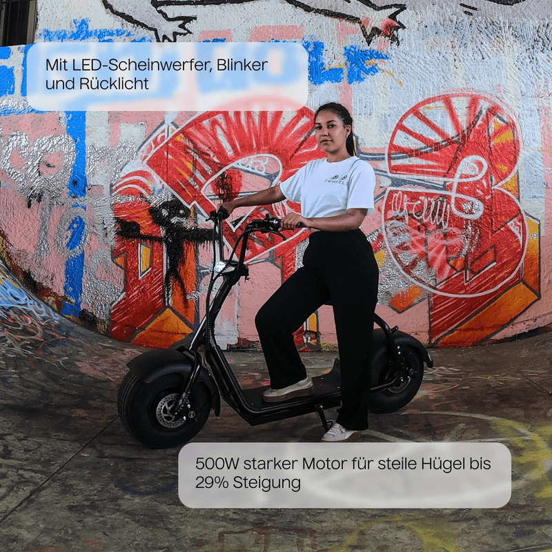 TWHEELS E-Roller in Matt-Schwarz mit herausnehmbarem Akku.