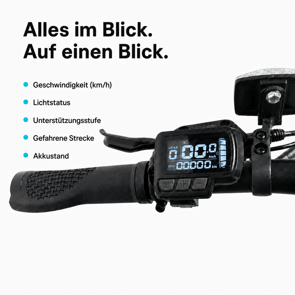 Leistungsstarke Tretunterstützung bis 25 km/h, Scooter-Modus (ohne Treten) bis 20 km/h