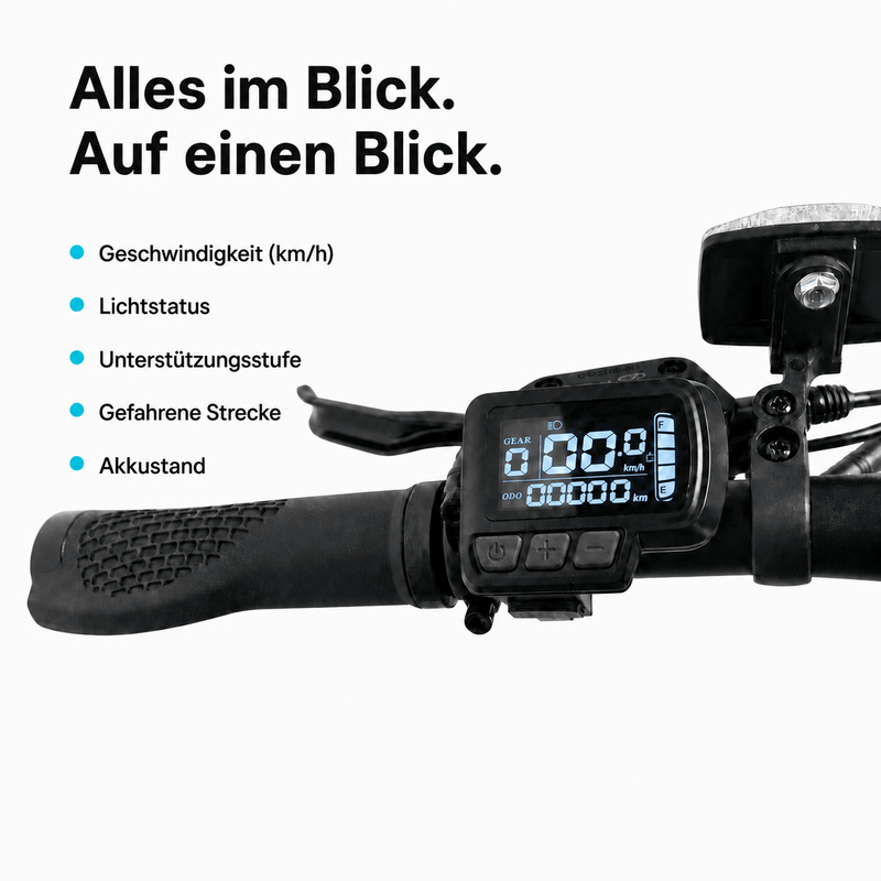 E-Bike City Faltrad – TWHEELS - TWHEELS