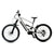 E - Mountain Bike - TWHEELS