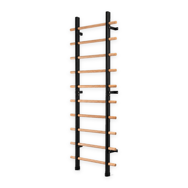 TWHEELS Sprossenwand Standard ohne Pull Up und Dip Bar auf weissem Hintergrund